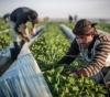 Food security in Gaza is on the brink