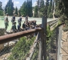 Dozens of settlers storm Suleiman&acute;s ponds under the protection of the occupation army