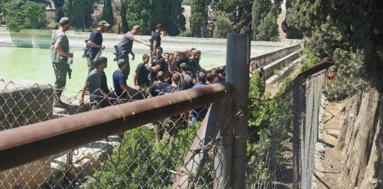 Dozens of settlers storm Suleiman&acute;s ponds under the protection of the occupation army