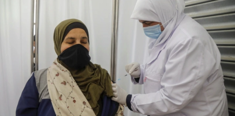 Gaza: 73 cases of corona