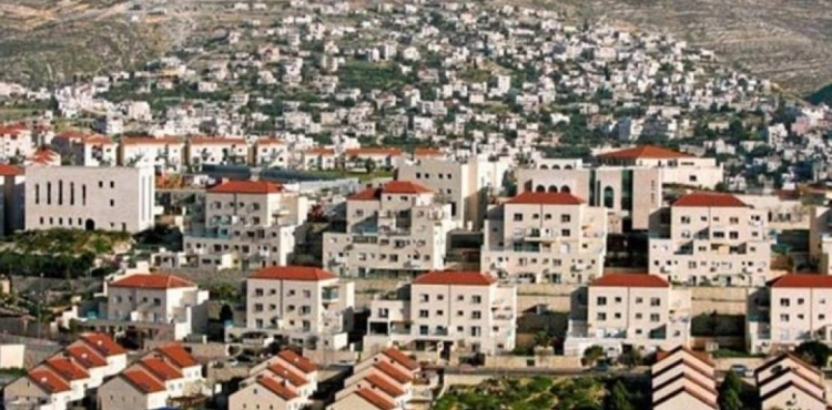 Areej: The number of settlement plans increased in the first quarter of this year