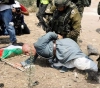 Mladenov: The attack on a citizen in Tulkarm will lead to an increase in tensions