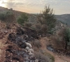 Settlers burn olive trees on Jabal Sabih