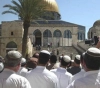 Settler calls to storm Al-Aqsa Mosque next Thursday