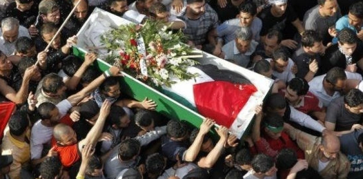 &quot;Global Movement&quot; documented the death of 70 children in Gaza and the West Bank during the first half of this year