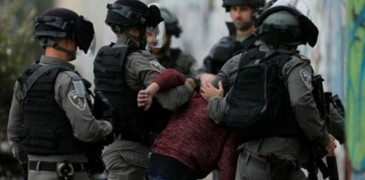 The arrest of a boy after being attacked in Silwan
