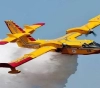 Algeria leases two planes from the European Union to put out fires