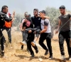 Two young men were injured by the occupation bullets, and dozens suffocated during clashes in Beita