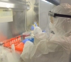 Infections with new strains of Corona virus discovered in Palestine