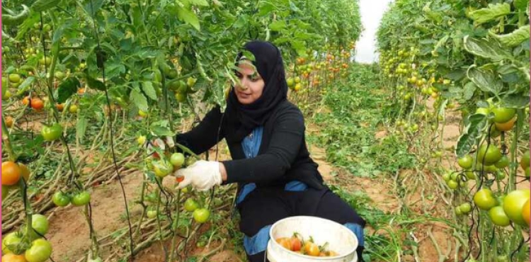 On Women&acute;s Day. Women from Gaza take painful pictures of the cruelty of life