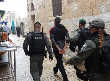 The occupation arrests a young man from Jerusalem