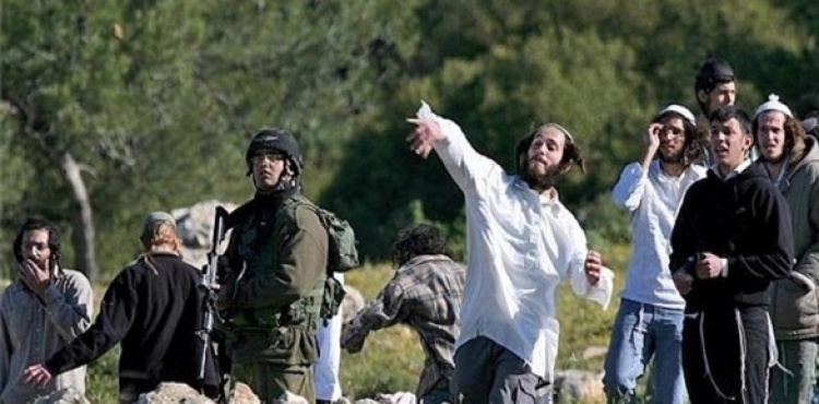 Settlers attack Palestinian vehicles with stones north of Nablus