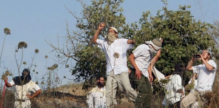 Settlers set up tents near the Ibrahimi Mosque in Hebron