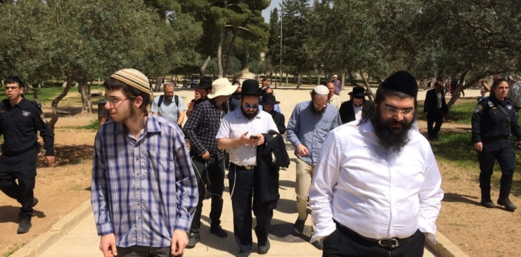 Photo: More than 500 settlers storm Al-Aqsa Mosque