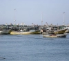 Gaza agriculture denounces the occupation&acute;s reduction of the fishing area in the sea