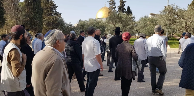 Photo: More than 500 settlers storm Al-Aqsa Mosque