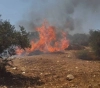 Settlers set fire to agricultural land north of Nablus