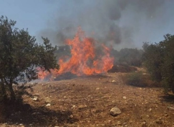 Settlers set fire to agricultural land north of Nablus