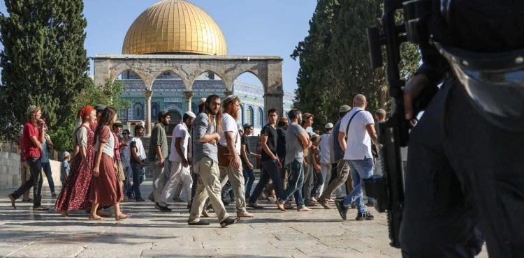 Dozens of settlers storm Al-Aqsa
