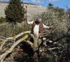 Settlers bulldoze to the ground in Einabus