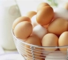 Doctors find 15 eggs in the back of a Dutch man.