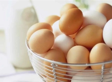 Doctors find 15 eggs in the back of a Dutch man.