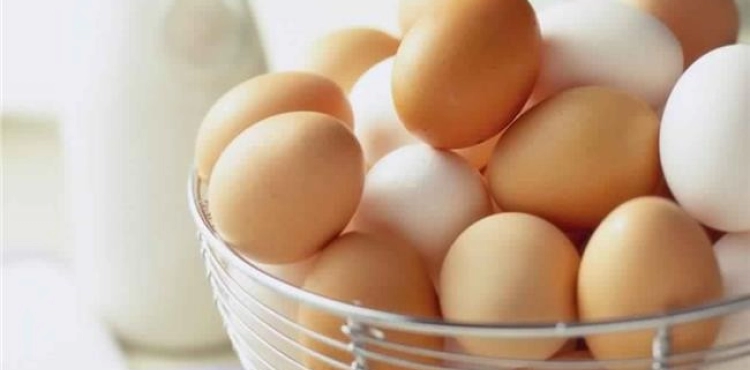 Doctors find 15 eggs in the back of a Dutch man.