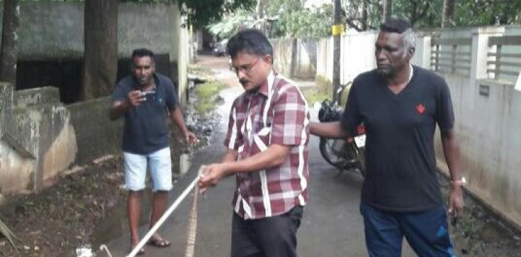 Snakes are attacking houses after floods hit India.