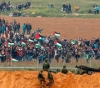 Israel killed 19 Palestinians in August, report says