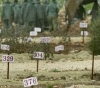 The occupation continues to hold the bodies of seven Palestinian martyrs
