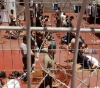 â€œPrisoners Authorityâ€: The list of â€œprisoners deansâ€ rises to (293) prisoners
