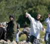 The Ministry of Foreign Affairs calls for an urgent international stance to stop settler terrorism