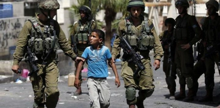 The occupation arrests a child from his school in Jericho