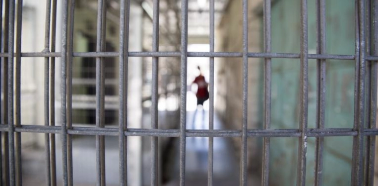 Prisoners&acute; Authority: 242 administrative detention orders were issued against a number of prisoners during the past month