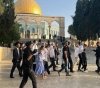 23 stormed Al-Aqsa Mosque and prevented the call to prayer for 44 times in Al-Ibrahimi last month