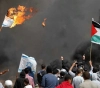 A detailed toll on the number of martyrs and wounded in the Gaza return march