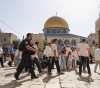 22 settlers storm the Al-Aqsa squares