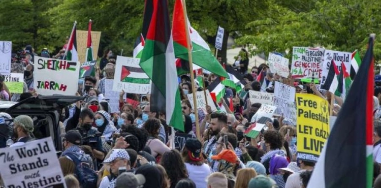 American universities in solidarity with Palestine