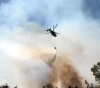 Ministry of Foreign Affairs: Targeting gaza&acute;s agricultural land is a racist aggression