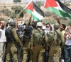 Report: The most prominent Israeli violations in Palestine during the past week