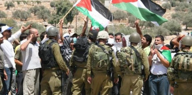 Report: The most prominent Israeli violations in Palestine during the past week
