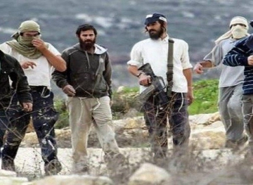 Settlers attack citizens in Khirbet Zanouta in the town of Al-Dhahiriya