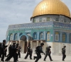 Occupied Jerusalem: 6 martyrs and 1979 cases of arrest and demolition of 193 facilities during the past year