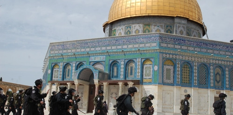 Occupied Jerusalem: 6 martyrs and 1979 cases of arrest and demolition of 193 facilities during the past year