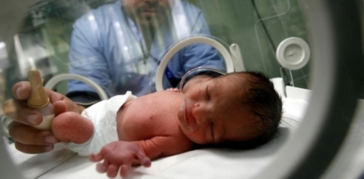 Gaza: 3,176 newborns and 286 deaths last month