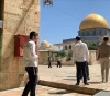 Settlers storm Al-Aqsa