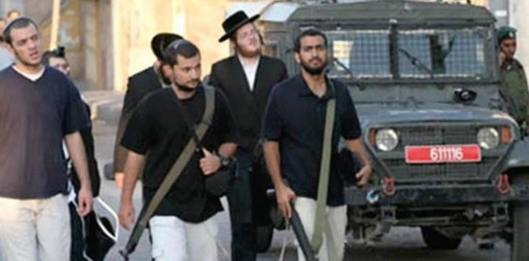 Armed settlers injure a citizen, and the occupation arrests a boy in Hebron