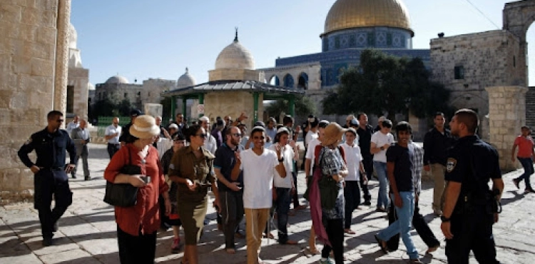 Dozens of settlers storm Al-Aqsa