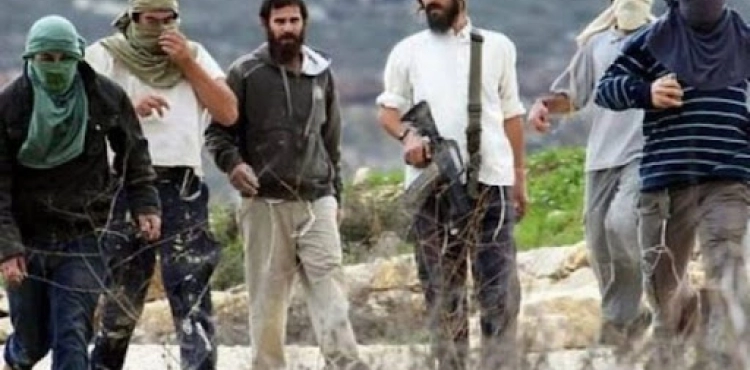 A citizen and his son were injured in a settler attack near Turmusaya