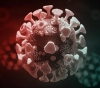 The latest developments in the spread of the new Corona virus in the world